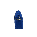 SELENA-C20-OST-BLU_4_2.png