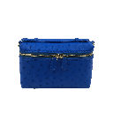 SELENA-C20-OST-BLU_2_2.png