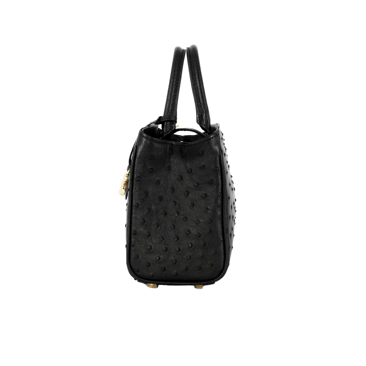 STUFFY-C20-OST-BLK_6.png